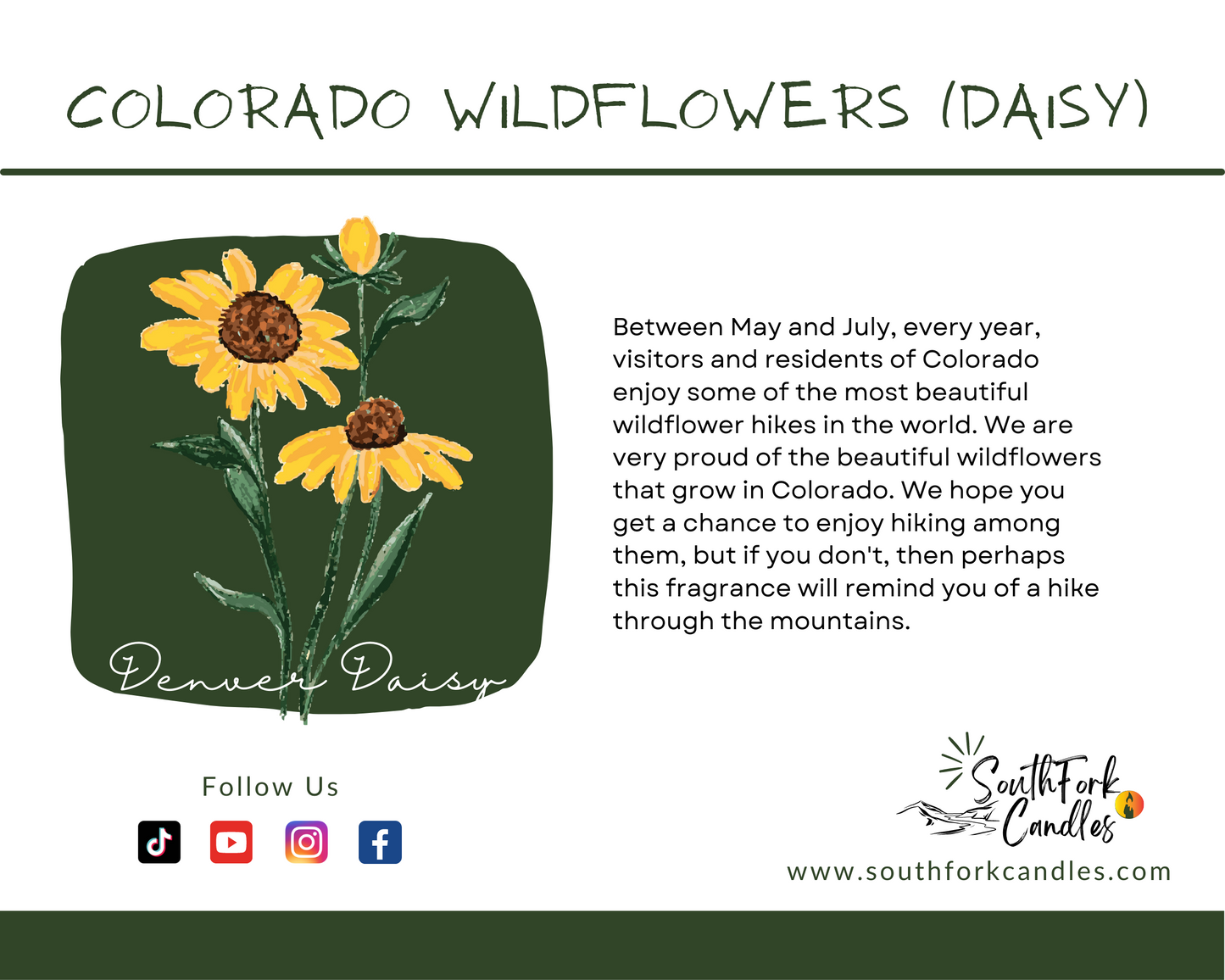 Daisy - Colorado Wildflowers Candle