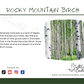 White Birch - Rocky Mountain Birch Candle