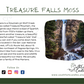 Oakmoss - Treasure Falls Moss Candle