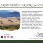 Sandalwood & Amber - Sand Dunes Sandalwood Candle